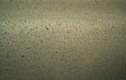 07 IM004272.jpg